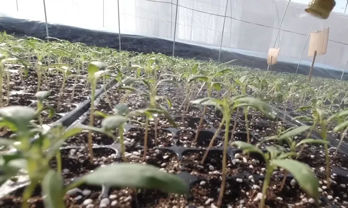 5fda2af006108.jpg 02.jpg