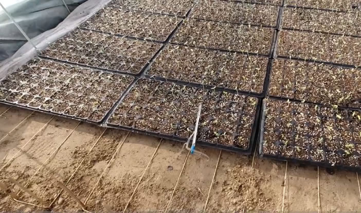 5fda2af7d28f9.jpg 03.jpg