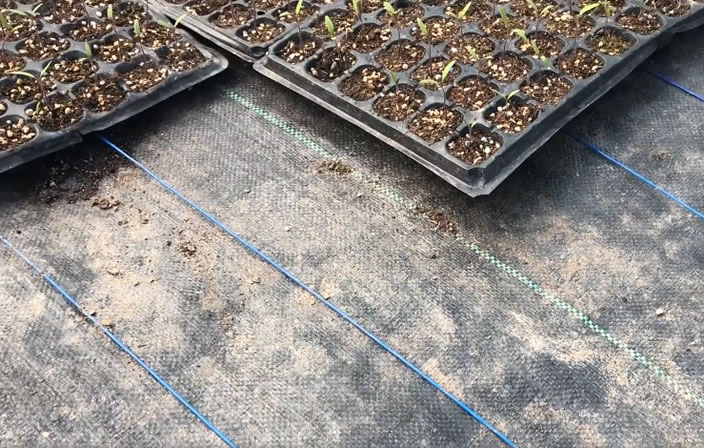 5fda2aff64e49.jpg 04.jpg