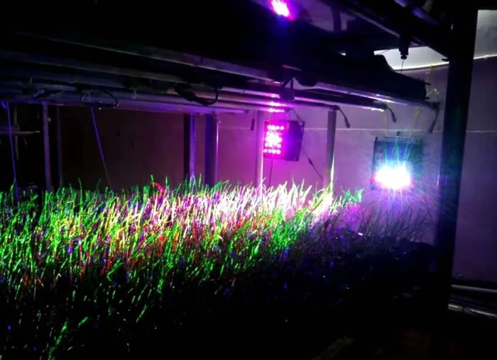 5fda2b070e2fb.jpg 06.jpg