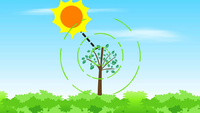 5fdac50ebb118.jpg 01.jpg