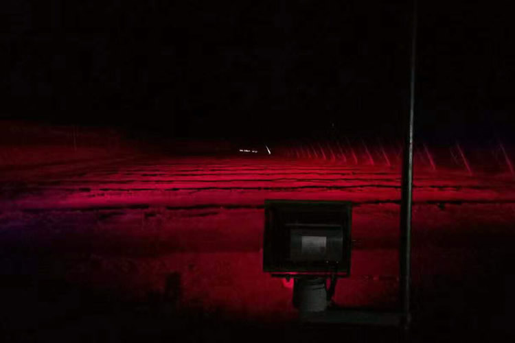 5ff2cbae247d3.jpg c002.jpg