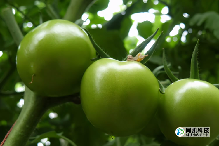 5ff3c766b84fd.jpg 001.jpg