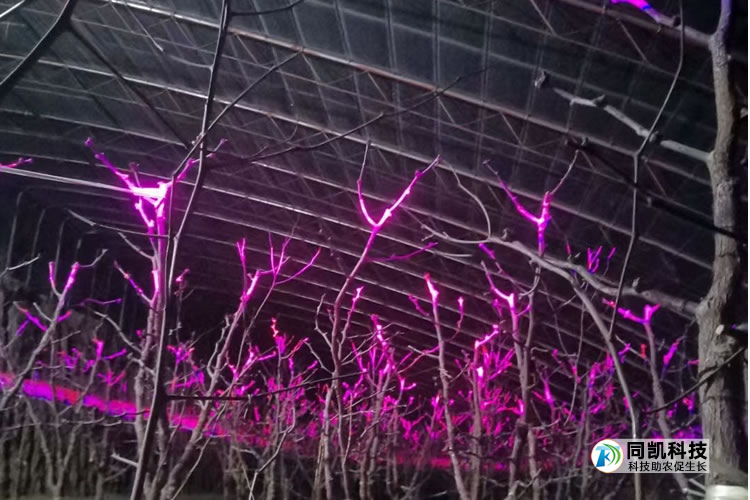 5ff3c83c3c869.jpg 02.jpg