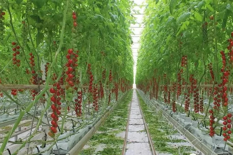 60018a91e2685.jpg 02.jpg