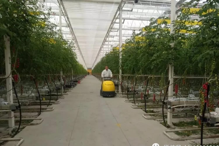 60018a9a0fc2c.jpg 03.jpg