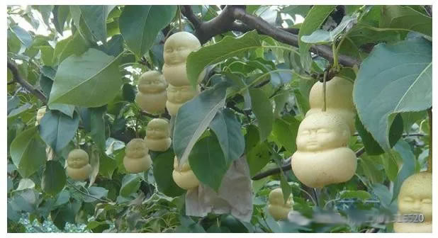 6003aab66d484.jpg 02.jpg