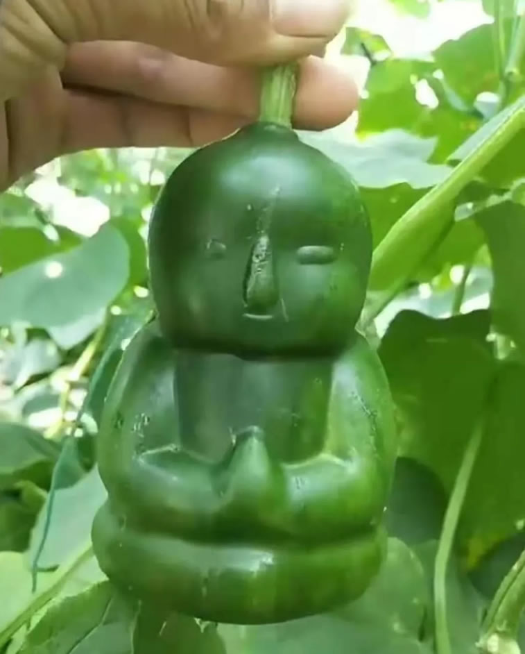 6003aac5b5a37.jpg 03.jpg