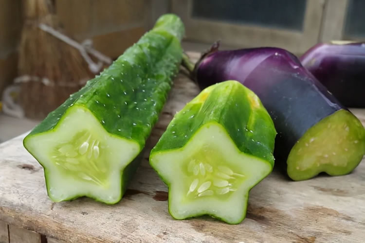 6003aad409256.jpg 04.jpg