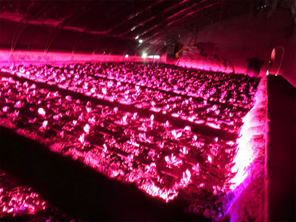 6030c8dd72d5b.jpg 600.jpg